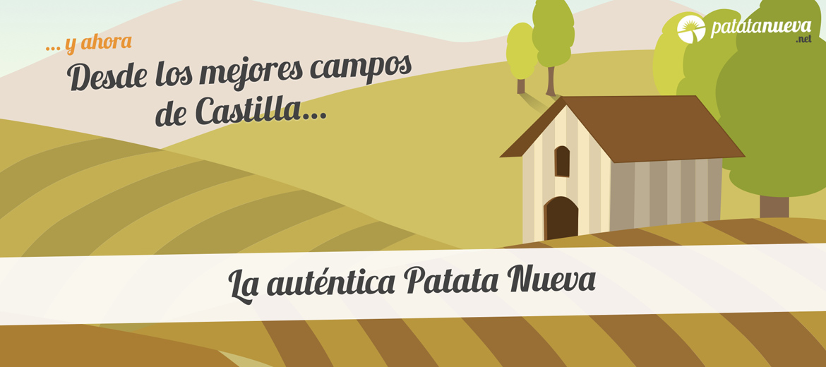 Patata nueva de España - Origen Castilla. Diferentes variedades